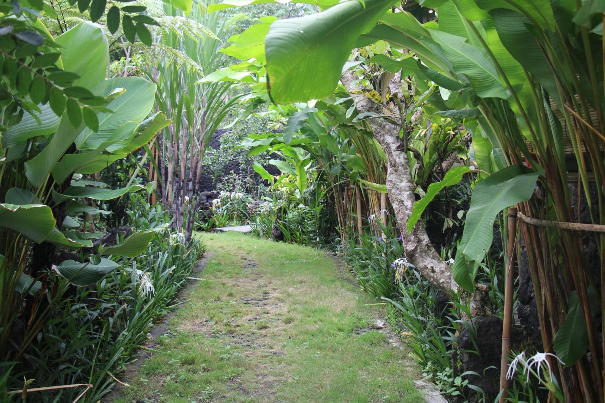 Geopark Village Kintamani  Exterior photo