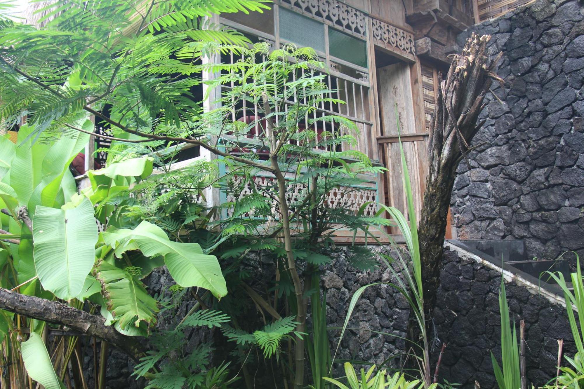 Geopark Village Kintamani  Exterior photo